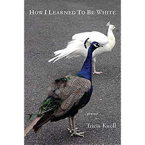 61NcZQRUhML._AC_US500_QL65_