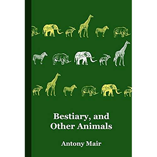 41n9OzJ3yKL._AC_US500_QL65_