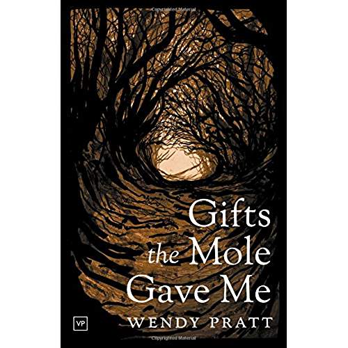 516hnmsZz7L._AC_US500_QL65_