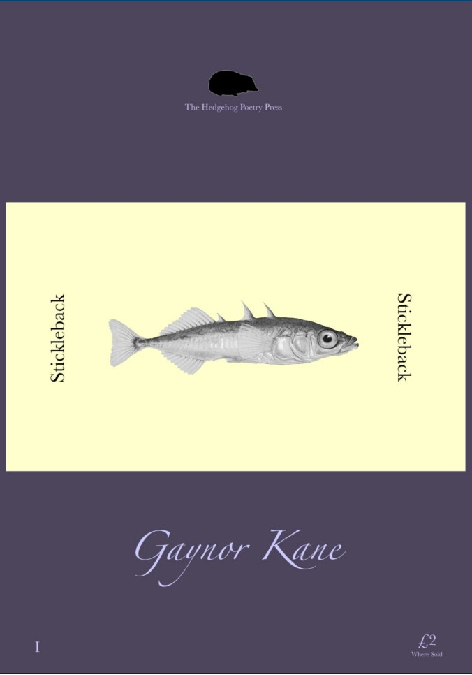Stickleback Cover - G Kane