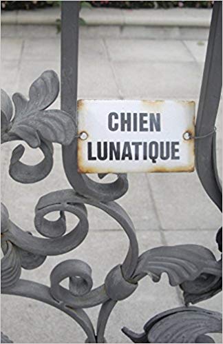 chien lunatique