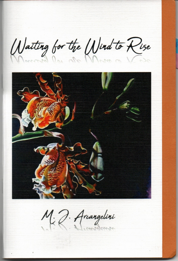 Waiting for the Wind to Rise