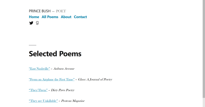 Prince Bush Website screenshot