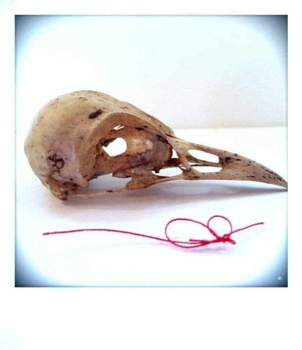 36899275_10156618985421177_6273411760057745408_n