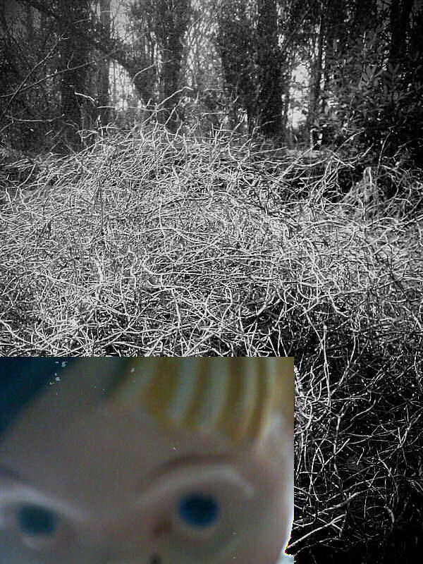 11222799_10153801527876177_1450701439255441703_n