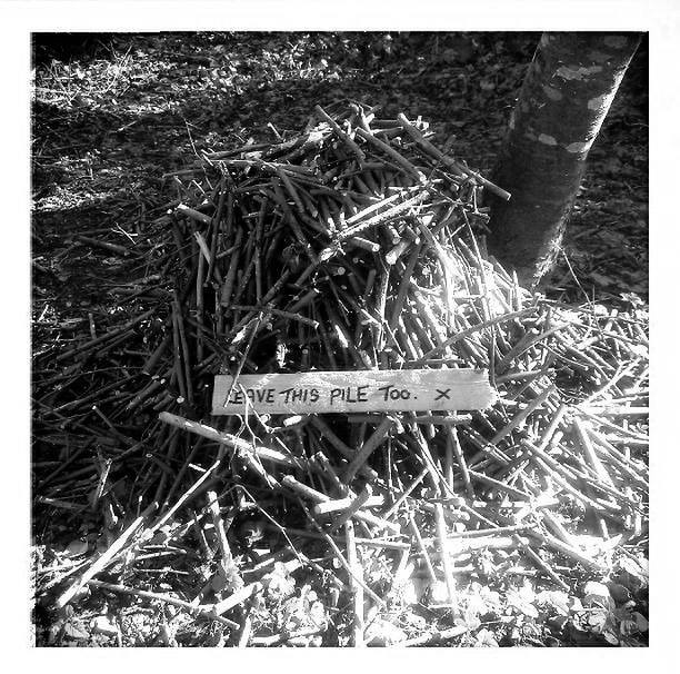 12189660_10153801537001177_495975262622826399_n