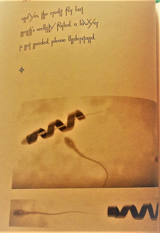 WIN_20200214_14_27_35_Pro (2)