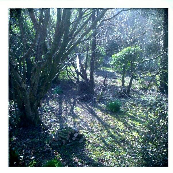 10348389_10153251779596177_7709706320329513176_n