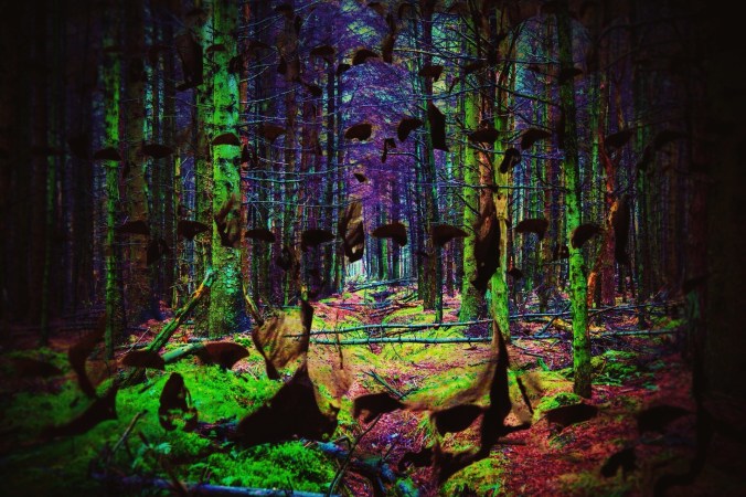 Processed with Rookie