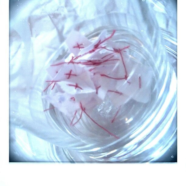 17554152_10155236916541177_6104668124173858786_n