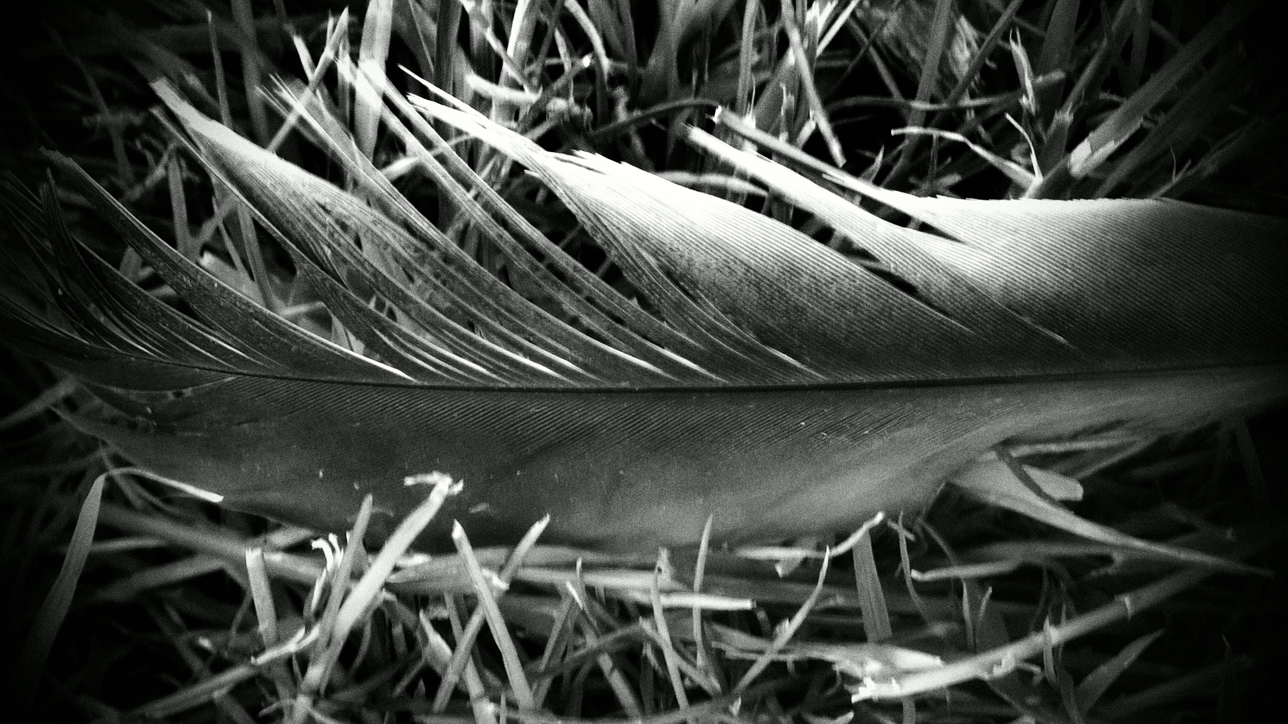 Camera360_2015_6_2_083945