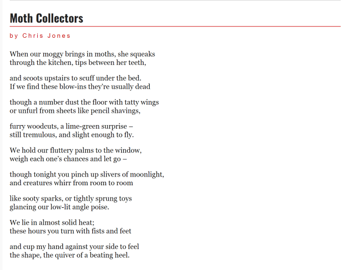 Chris Jones Moth Collectors