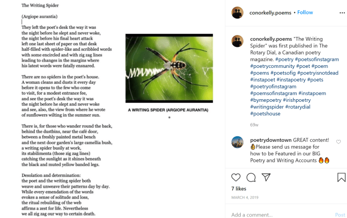 Conor Kelly The Writing Spider