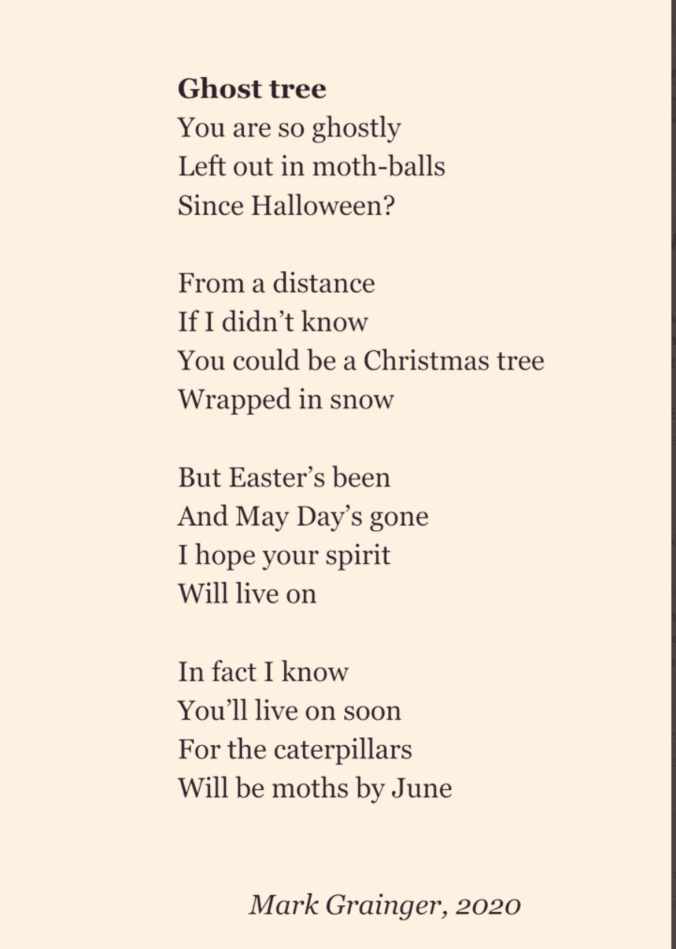 Ghost Tree by Mark Grainger