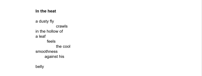 Ian Seed In The Heat fly poem