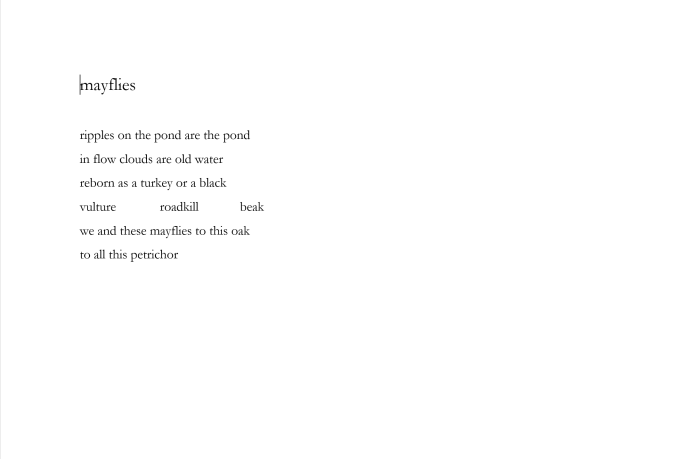 Mayflies by Andres Rojas