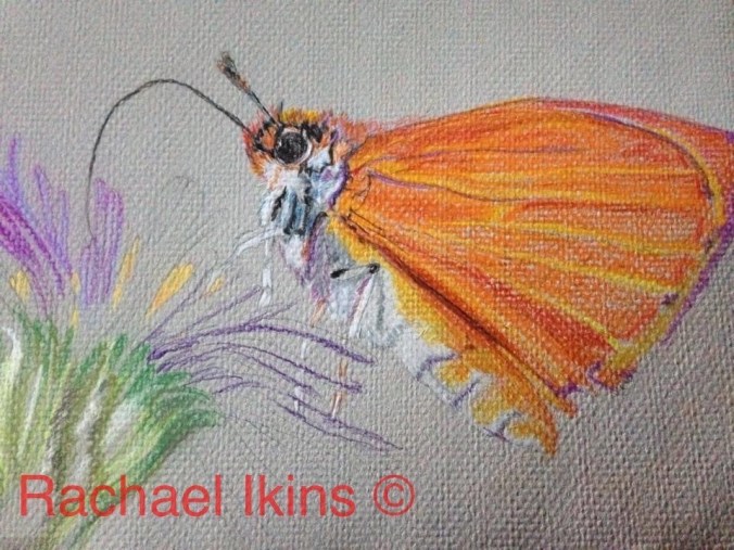 Rachael Ikins skipper on Aster