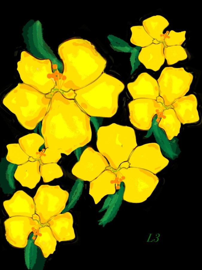 Linda Ludwig Wildflower