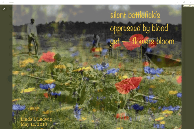 Linda Silent battlefields