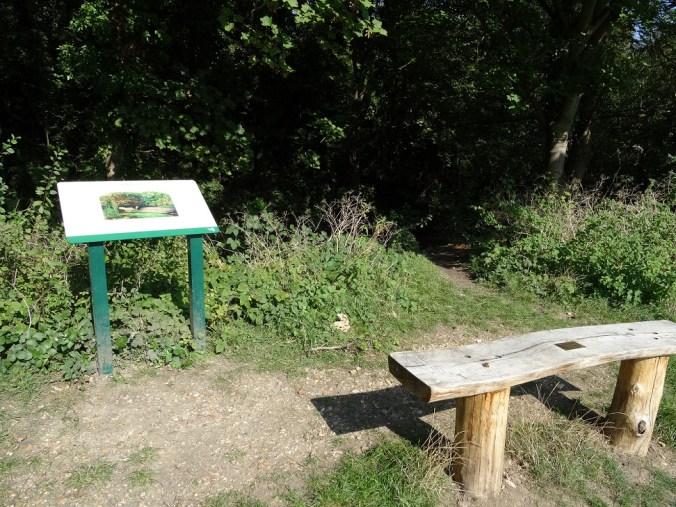 Lucy Furlong OTF_Ophelia_2014_resize[84168]