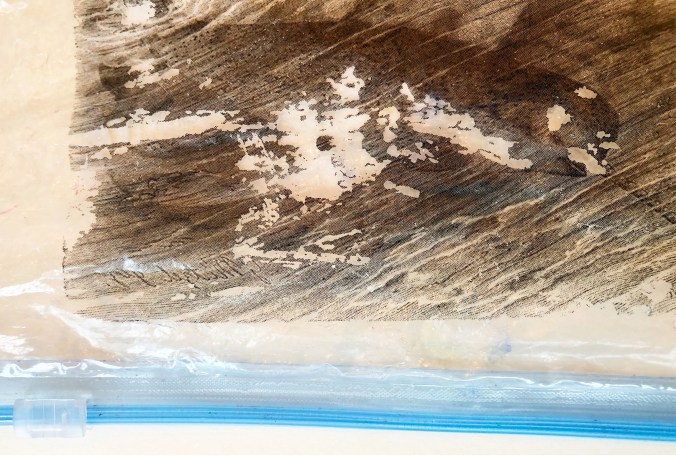 Narwhals_NMW_plastics2