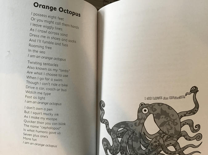 Neal Zetter Orange Octopus