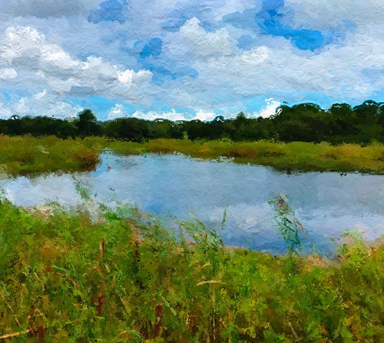 Wendy Saltmarsh photo art