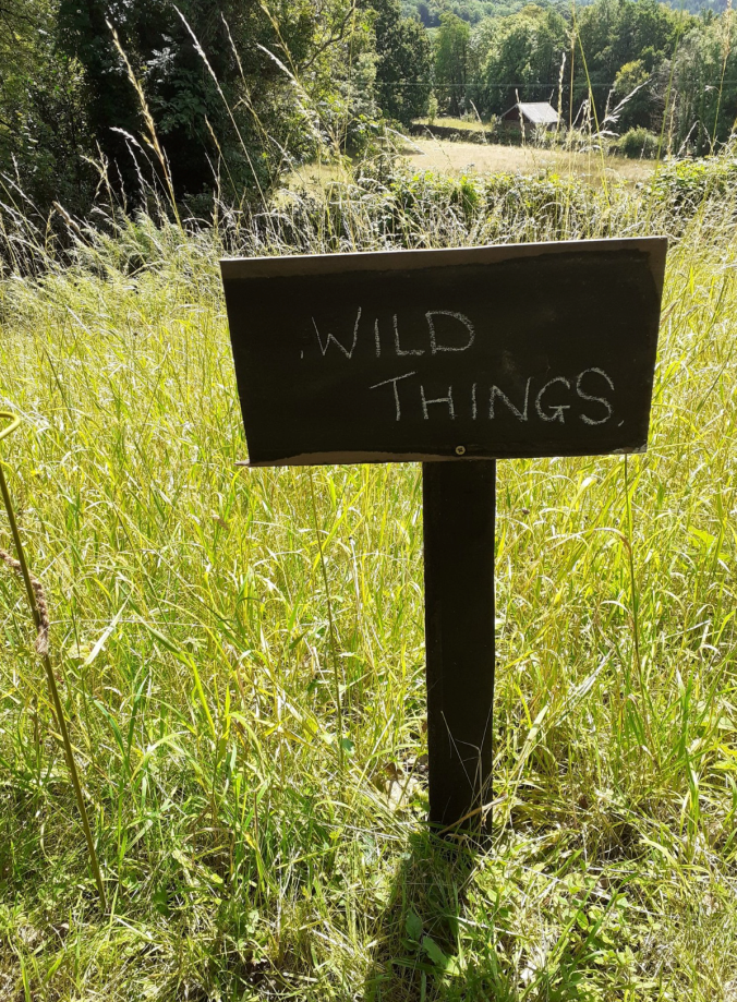 Wild Things by sonia