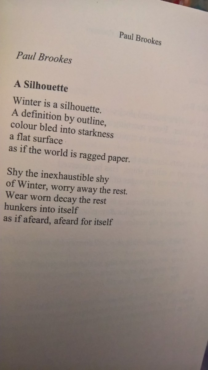 A Silhouette is winter