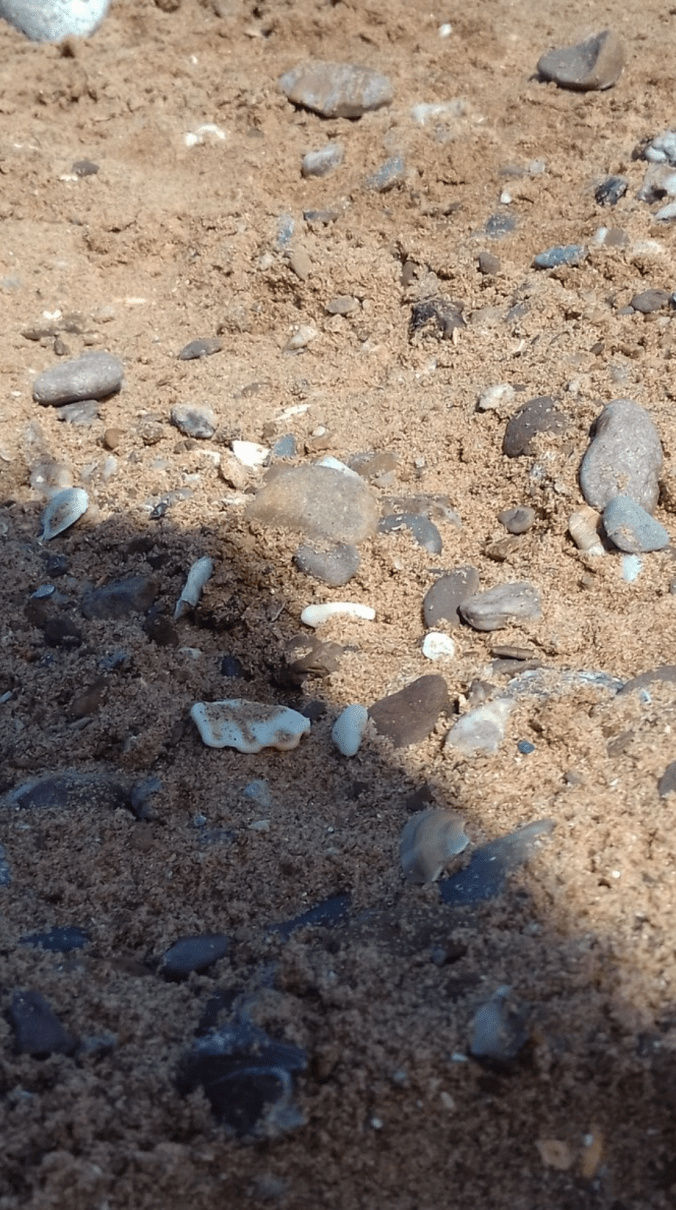 Beaxh by Sue Harpham