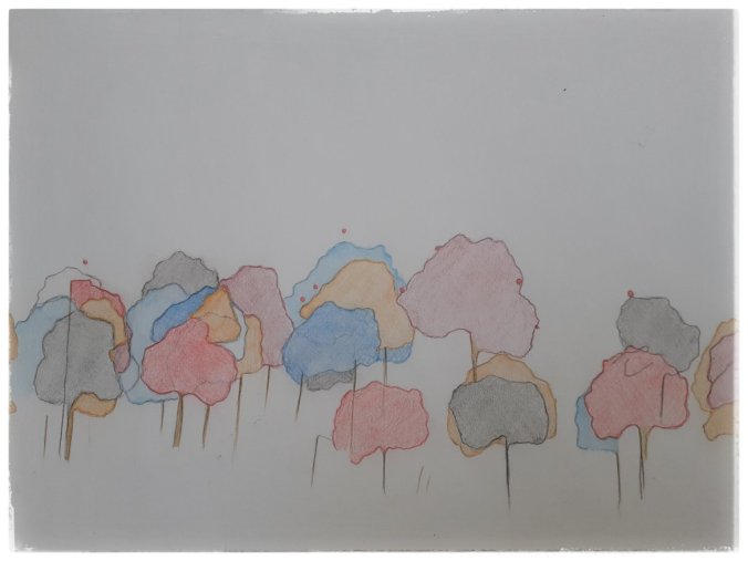 Day 79 about Bats sbm