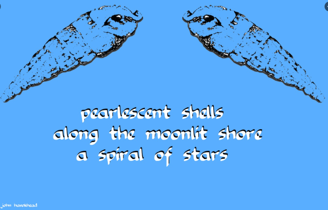 John Hawkhead Purlescent shells