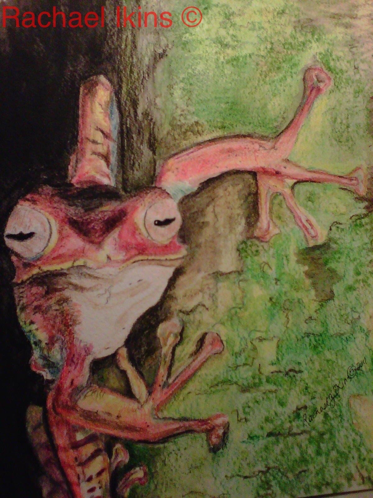 A Fog Named Fritzi by Rachael Ikins