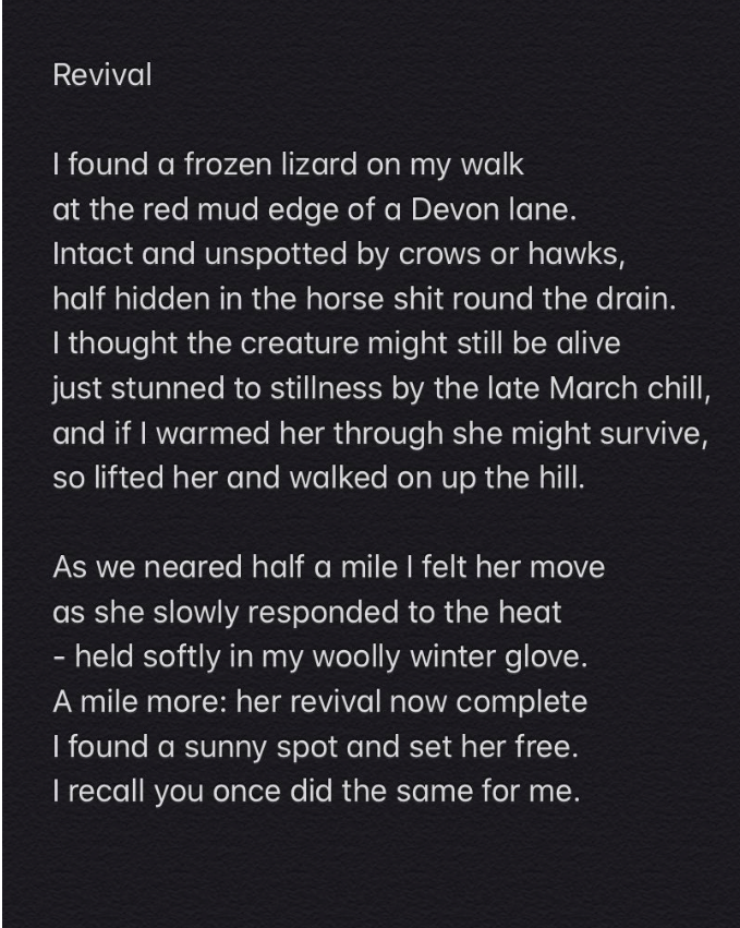 Revival By Marc Woodward