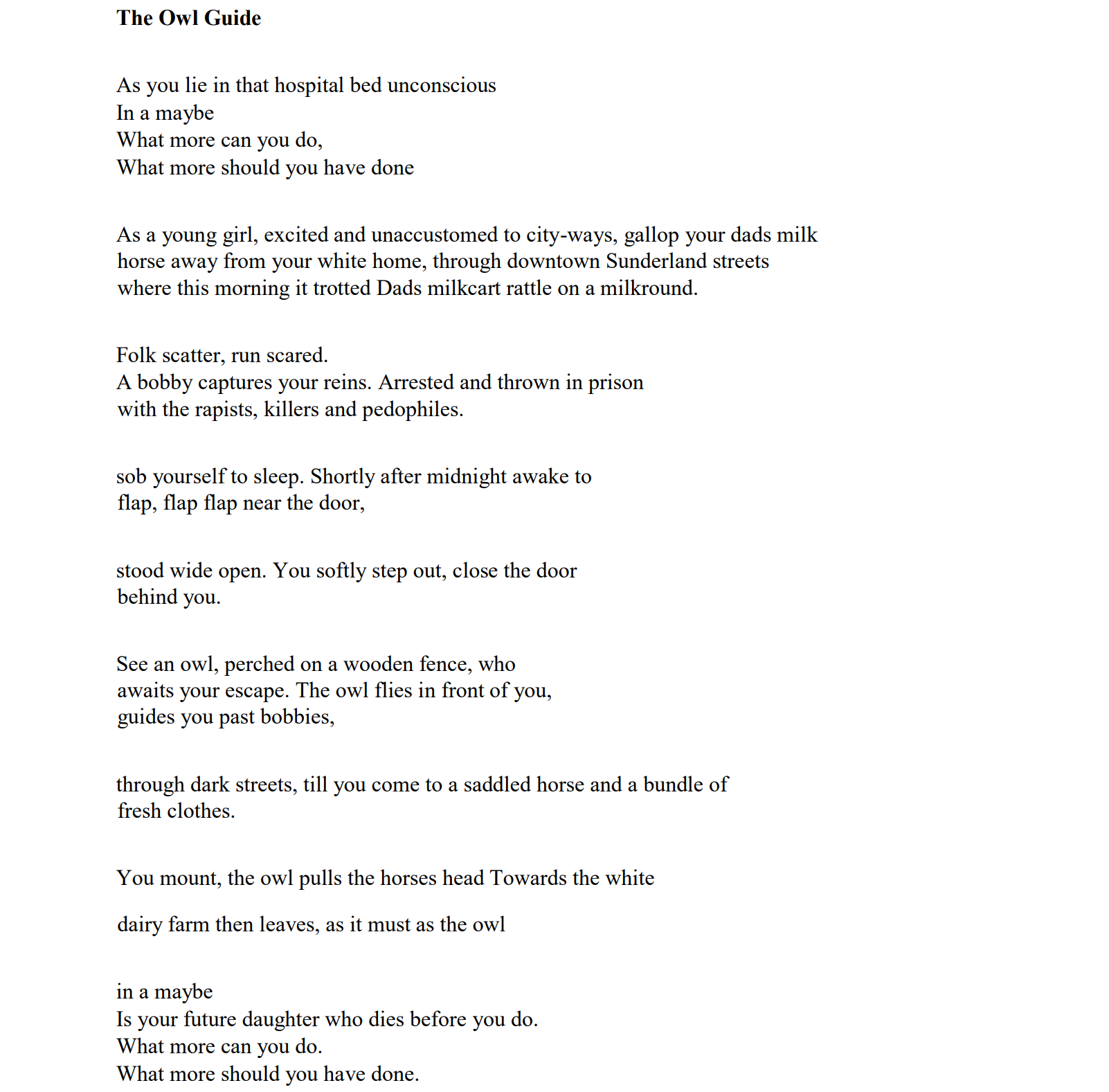 POS The Owl Guide text