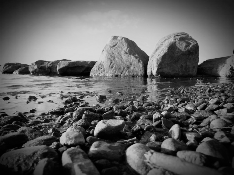 All Exit Through The Gift Shop