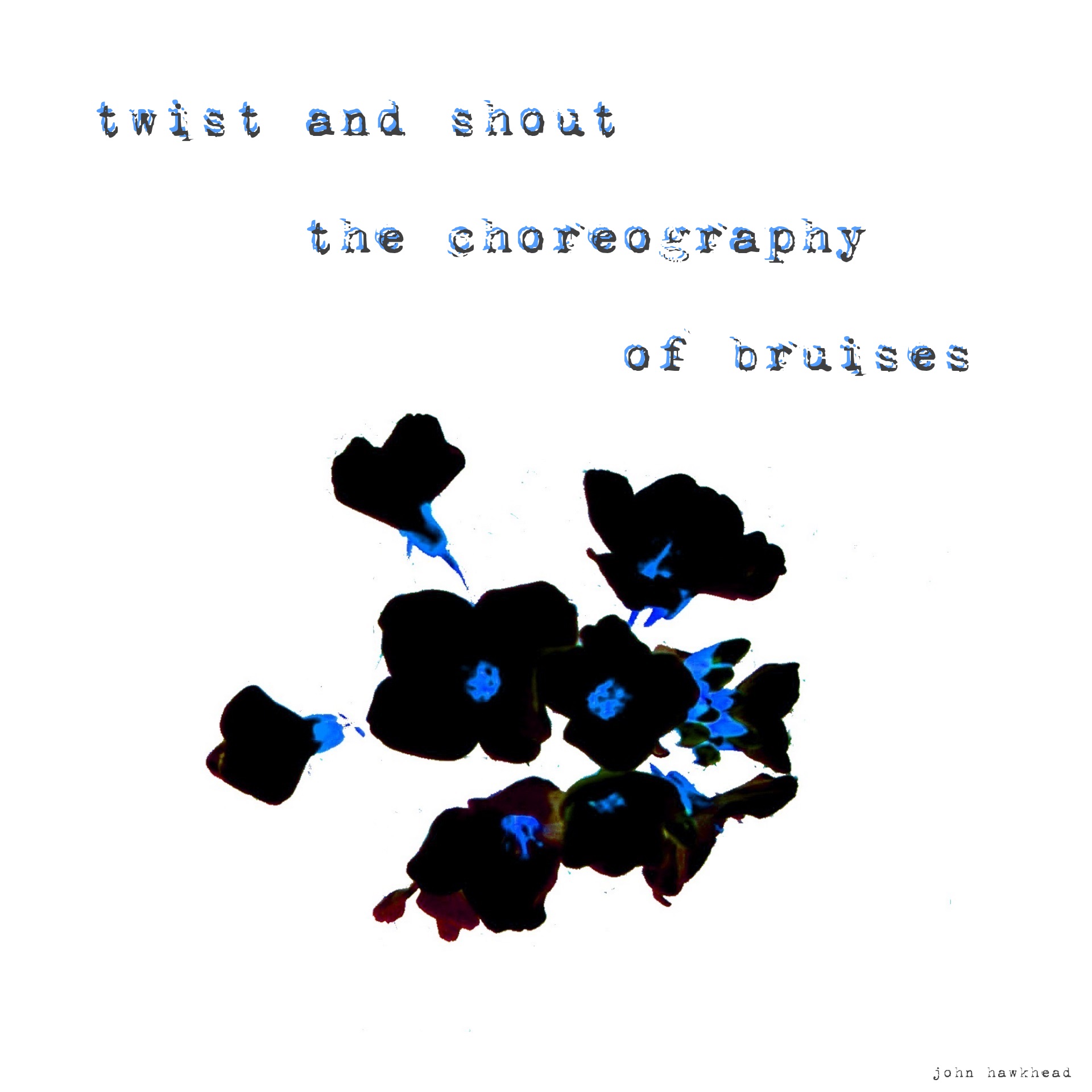 bruisedance hawkhead