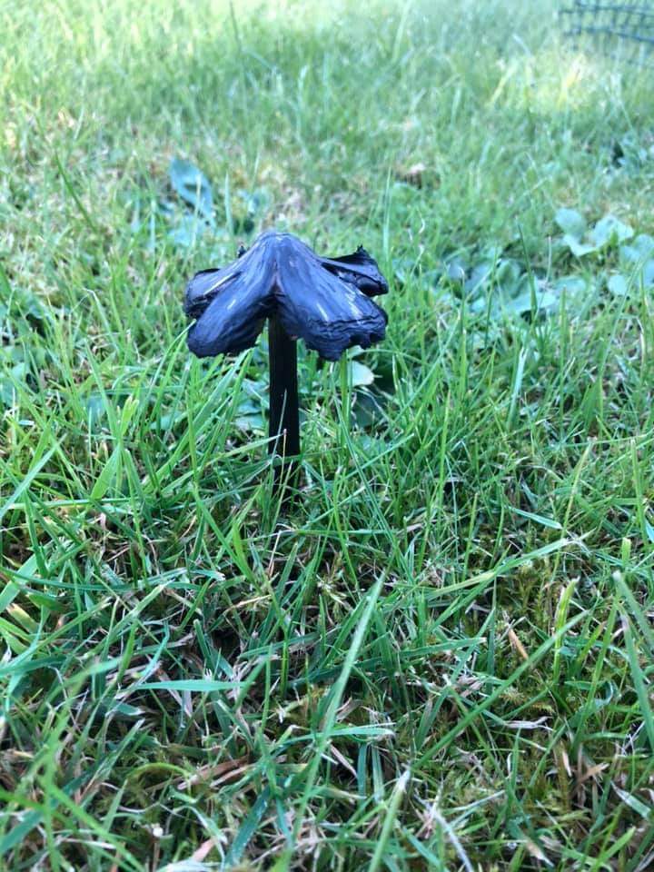 FB_IMG_1602429774251 - Copy (2)