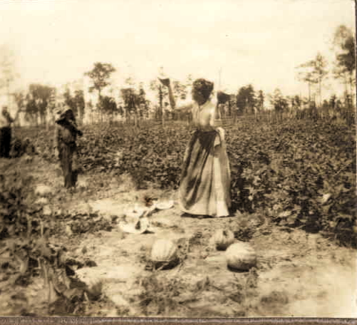 MjS 24 The Prison Farm