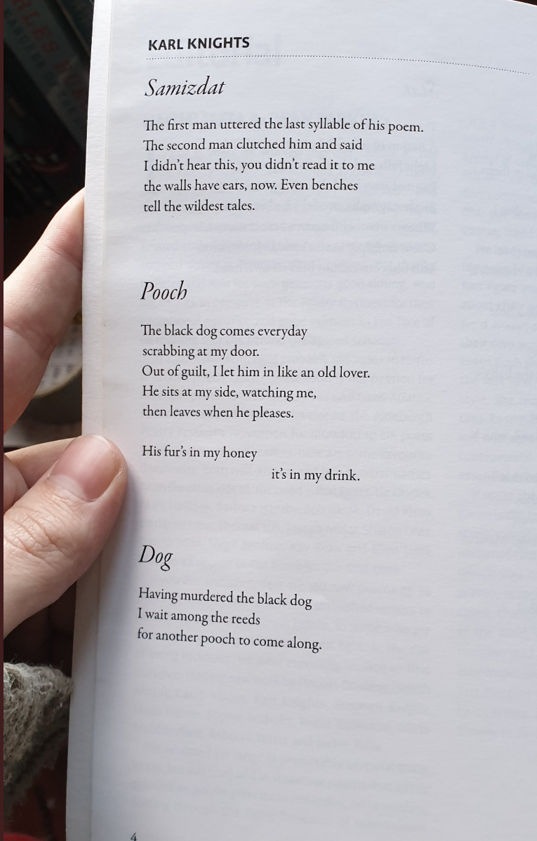 Karl Knights poems in The North