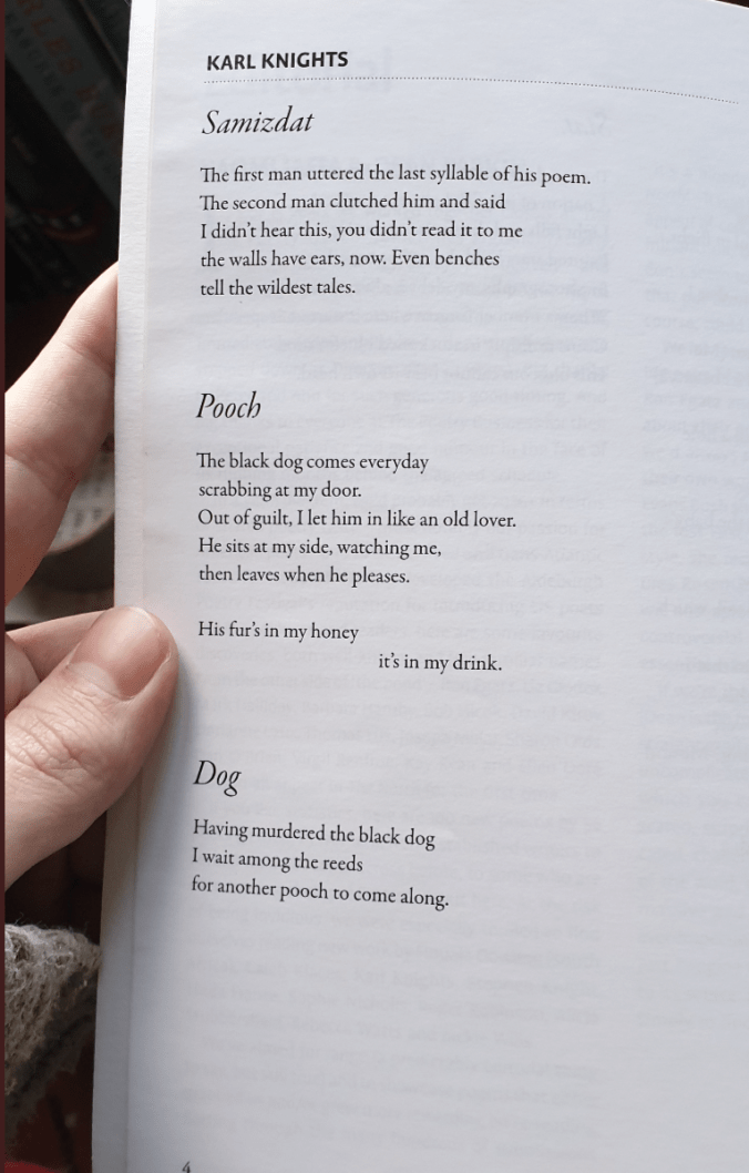 Karl Knights poems in The North