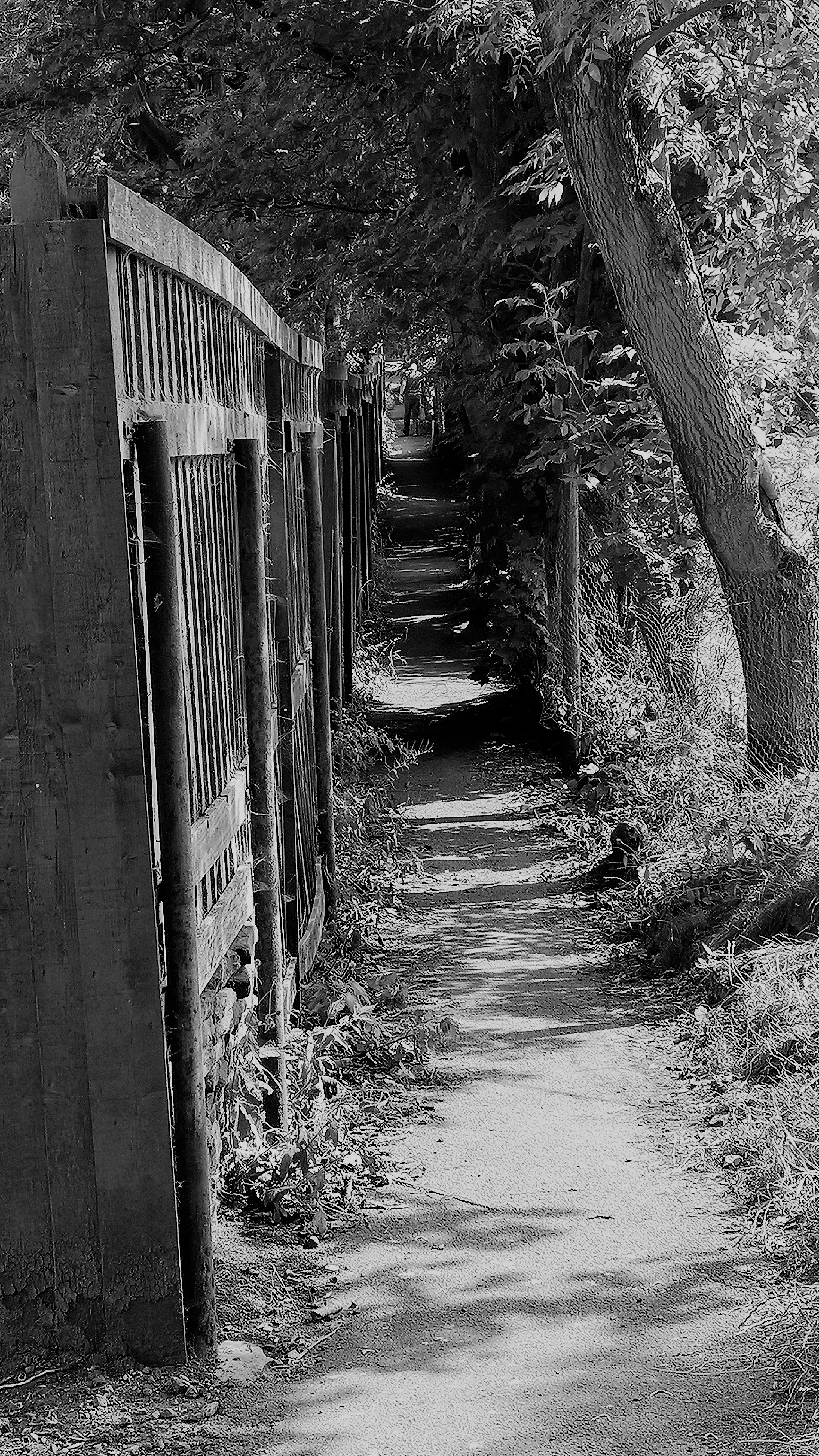 WP_20190717_15_25_00_Pro[42311] (2)