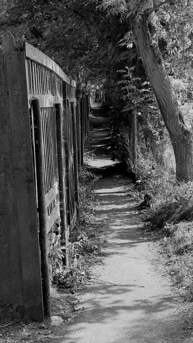 WP_20190717_15_25_00_Pro[42311] (2)