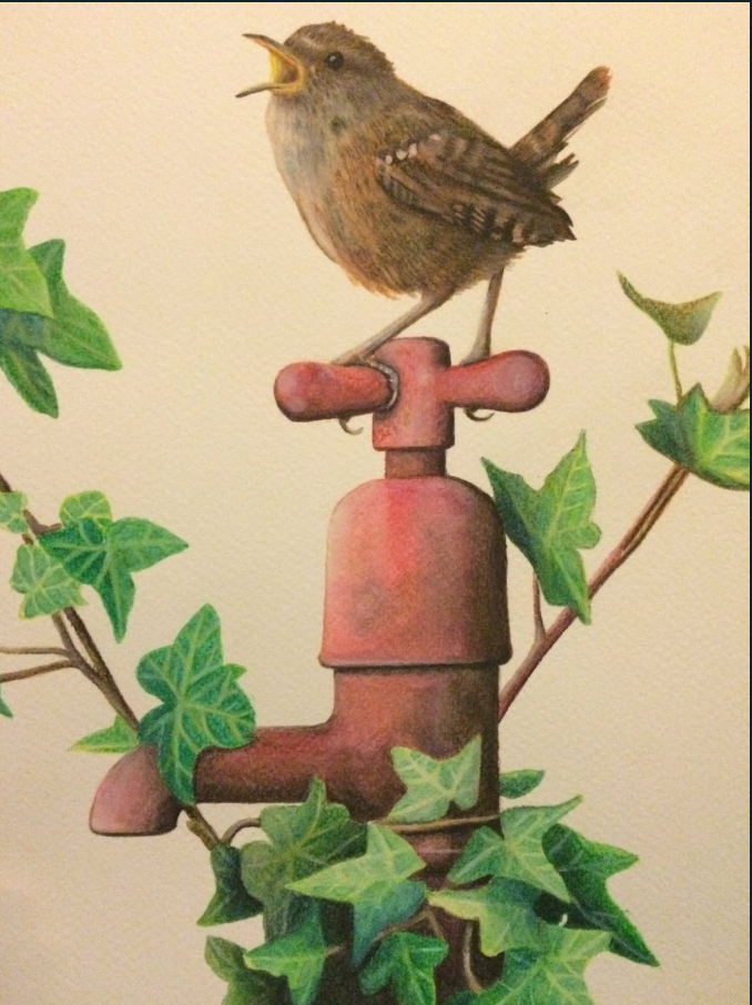 Wren by Kirstin Armstrong