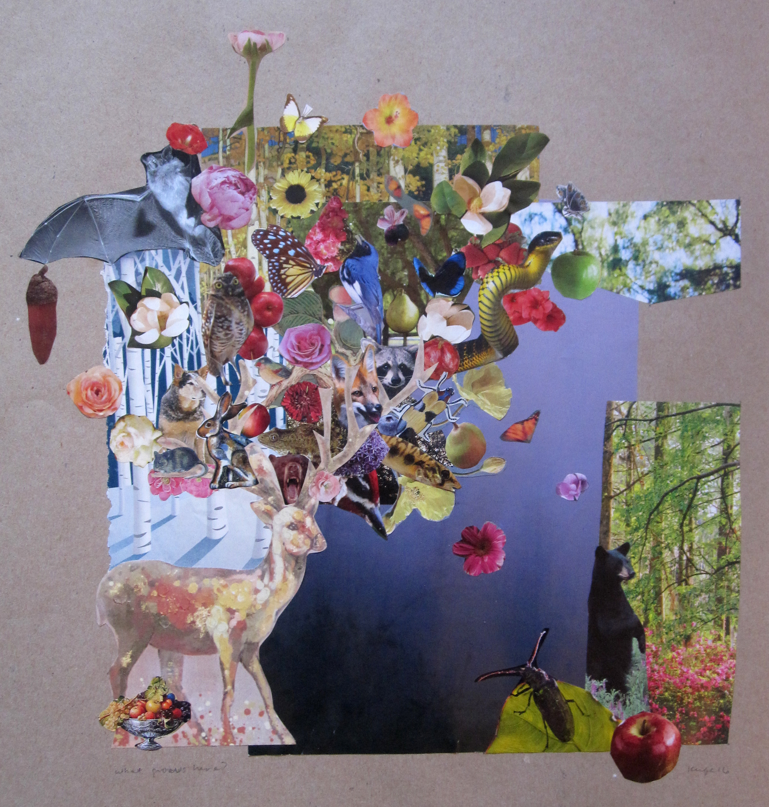 what grows here KRFeb3