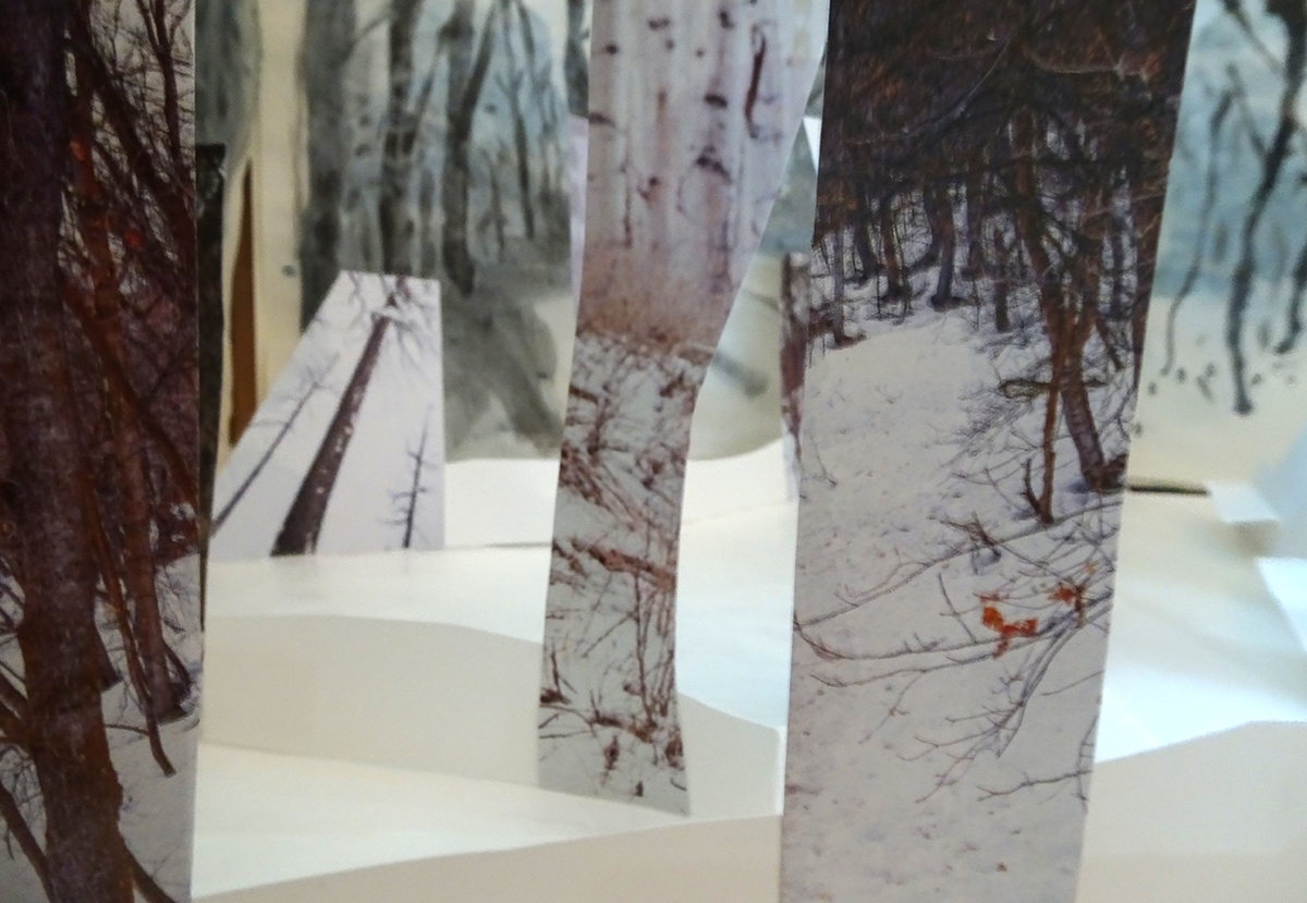 winter forest KRFeb4