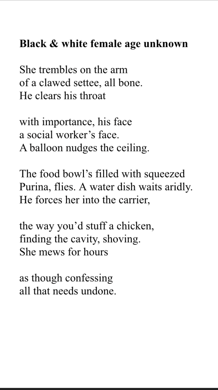 Black and white by kitty connelly