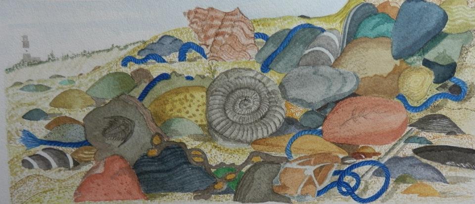 JL15 75 million years at spurn beach