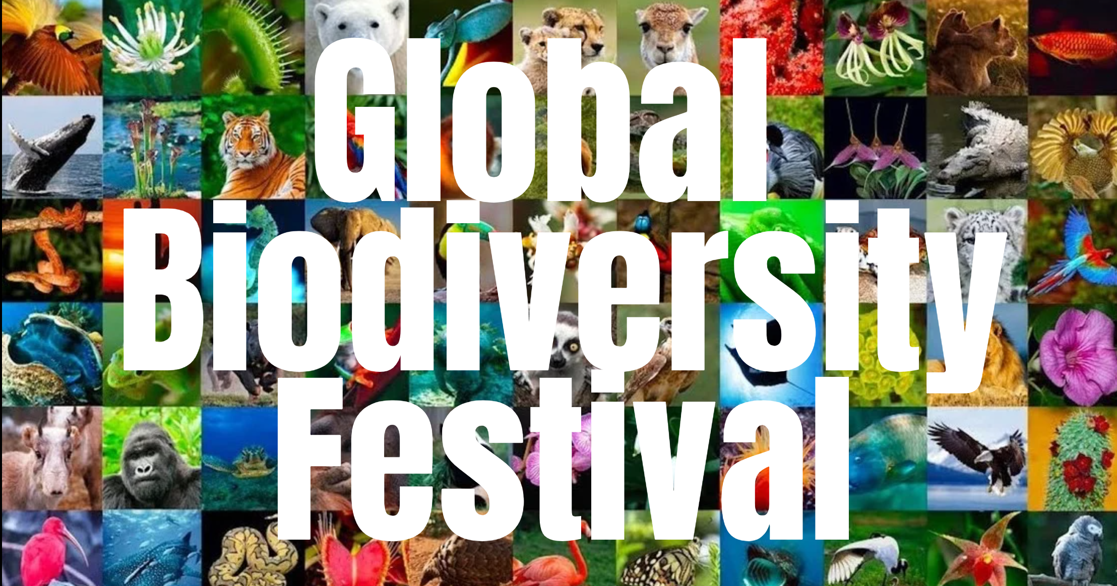 global biofest