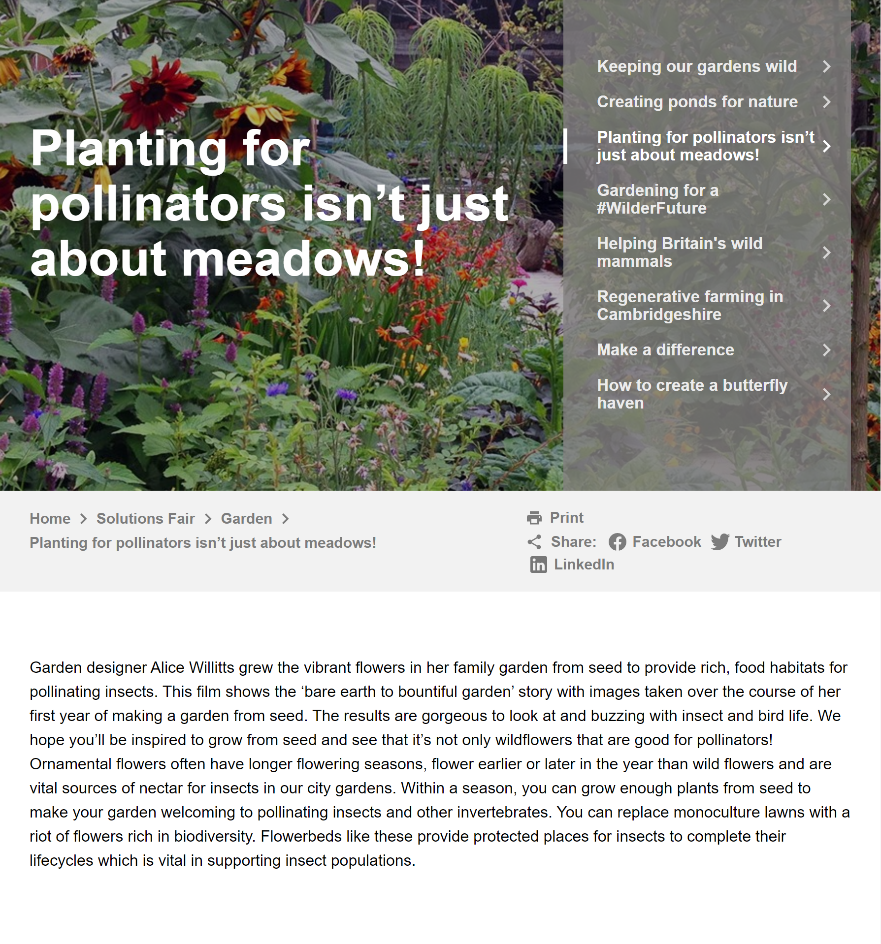 planting by Alice Willetts 1